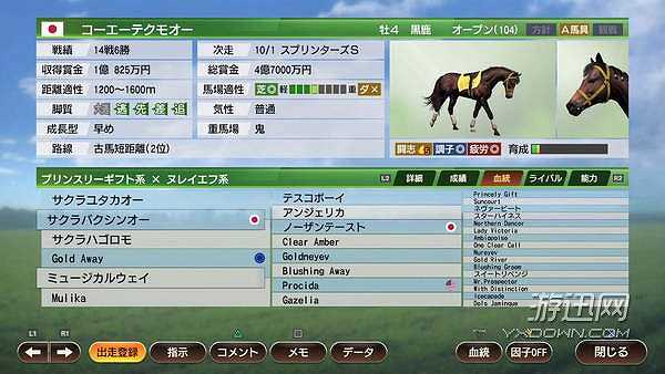 赛马大亨9截图4