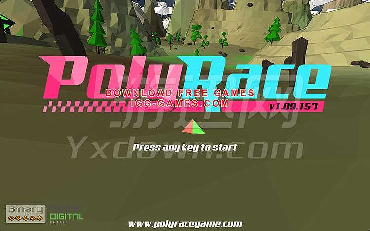 Poly Race截图2