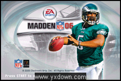 NFL橄榄球2006游戏截图