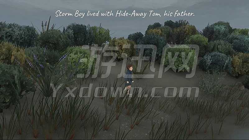 鹈鹕的故事截图2