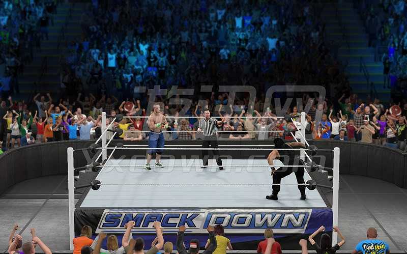 WWE 2K15截图5