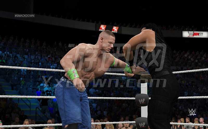 WWE 2K15截图6