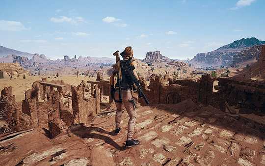 Pubg Lite截图7