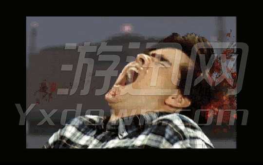 Harvester截图4