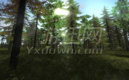 3D狩猎2010截图4
